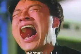 崇义要账公司更多成功案例详情